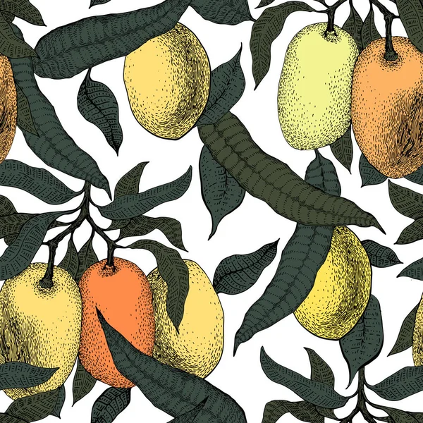Mango tree vintage seamless pattern. Botanical fruit background. Engraved. Vector illustration Royalty Free Stock Illustrations