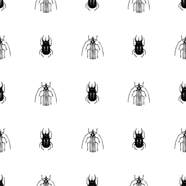 Modello vettoriale retrò disegnato a mano senza soluzione di continuità con scarabeo, insetto, dor, dorr, insetto su uno sfondo bianco. Illustrazione vintage — Vettoriale Stock