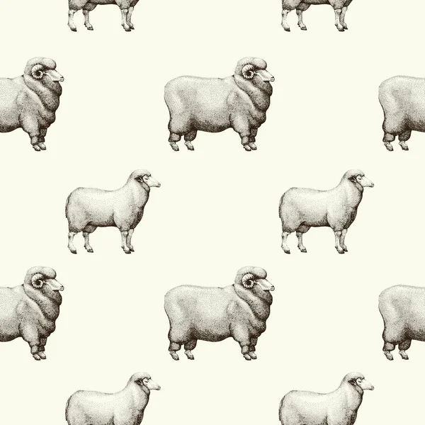 Modello senza cuciture con sagome grafiche pecore, illustrazione disegnata a mano retrò . — Foto Stock