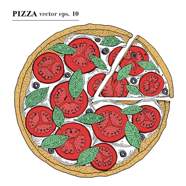 Pizza margarita italiana illustrazione vettoriale disegnata a mano. Può essere utilizzato per pizzeria, caffè, ristorante . — Vettoriale Stock