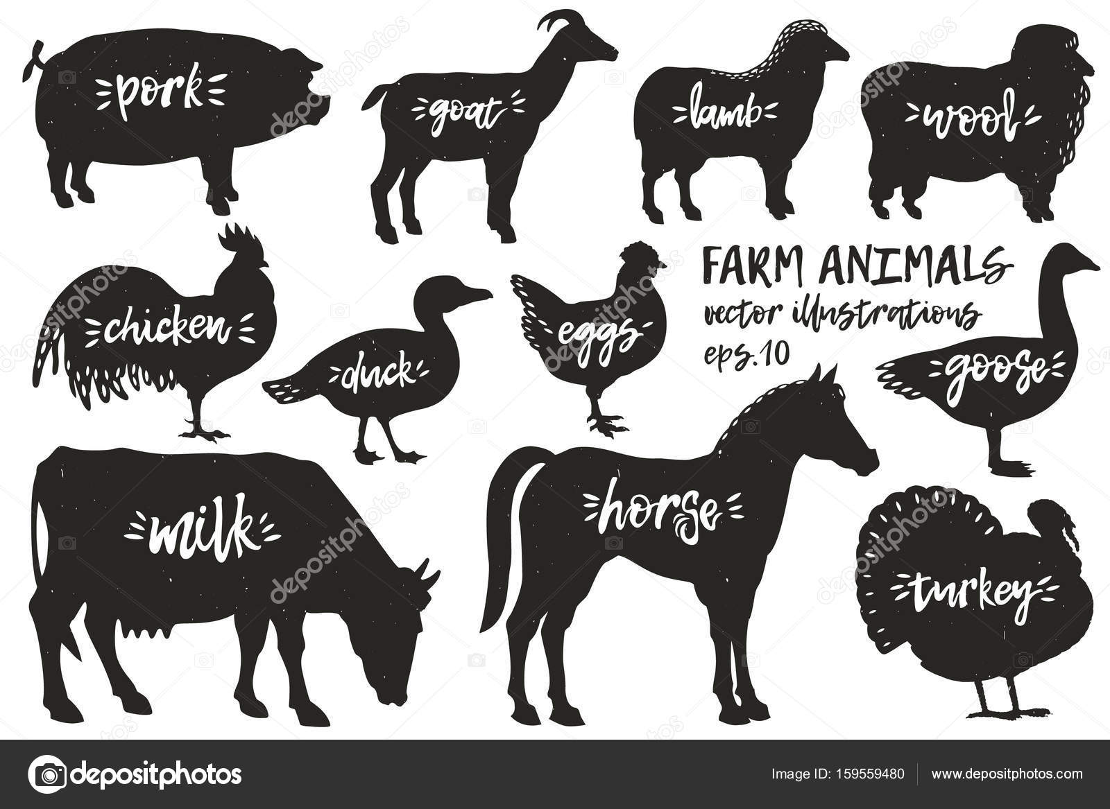 Vector farm animals silhouettes. Vintage illustrations. Hand