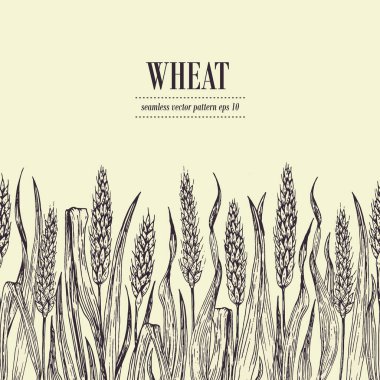 Buğday alan vektör seamless modeli. Vintage elle çizilmiş illüstrasyon.