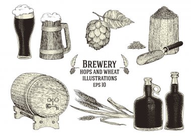 Bira cam, şişe, hop şube, ahşap varil, kupa, buğday ayarlayın. Vintage vektör oyma çizim.