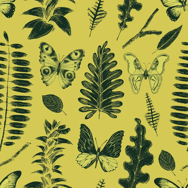 Векторный ретро рисунок векторной ботаники с бабочками. Винтажная иллюстрация — стоковый вектор