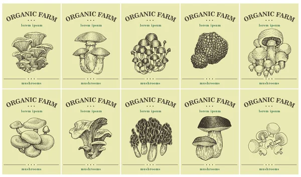 Etiquetas con varias setas. Establecer plantillas de precios para tiendas y mercados de alimentos orgánicos. Ilustración vectorial art. Vintage. Objetos de naturaleza dibujados a mano . — Vector de stock