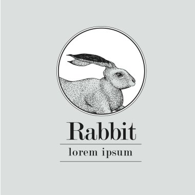 Elle çizilmiş tavşan logosu şablonu. Vintage vektör çizim.