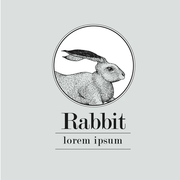 手の描かれたウサギのロゴのテンプレート。ベクトル ビンテージ イラスト. — ストックベクタ