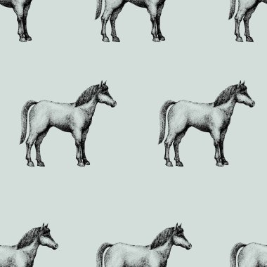 At, vintage vektör seamless modeli kazınmış. Mağazalar ve marketler organik gıda kullanmak olabilir. Vintage illüstrasyon.