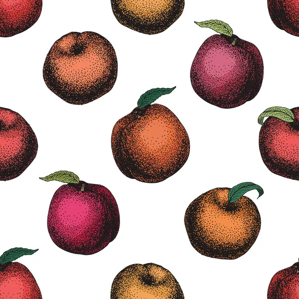 モモ果実ビンテージ ベクトルのシームレスなパターン。植物の果実。刻まれたピーチ。ベクトル図 — ストックベクタ