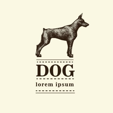 Siluet bir köpek. Doberman pinscher vektör Illustration. Retro illüstrasyon el çekilmiş.