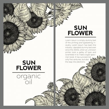İki ayçiçeği vintage tasarım şablonları kümesi. Çizilen illüstrasyon vektör ver. Ayçiçeği çerçeve kompozisyonu.