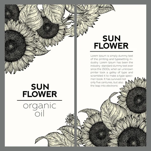İki ayçiçeği vintage tasarım şablonları kümesi. Çizilen illüstrasyon vektör ver. Ayçiçeği çerçeve kompozisyonu.