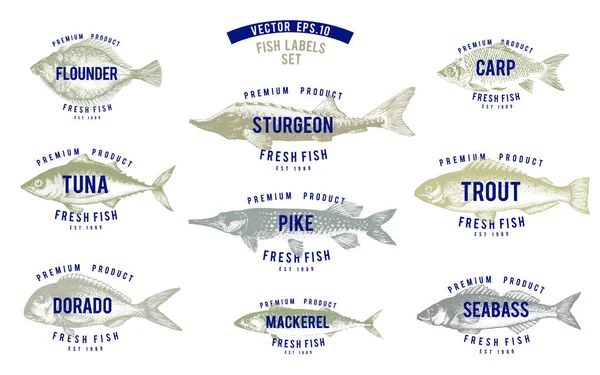 Рука намальована ілюстрація риби з іменами в вінтажному стилі на білому тлі. Векторні шаблони логотипів. Етикетки можуть бути використані для ресторану, меню, рибного магазину, ринку . — стоковий вектор
