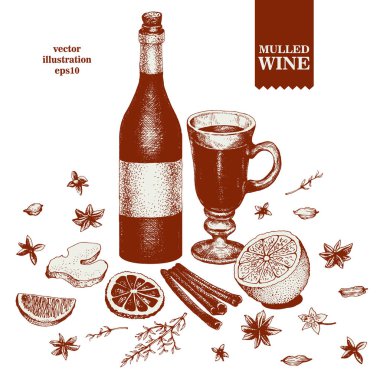Mulled şarap ve Baharatlar, portakal, tarçın, anason, karanfil, zencefil. Çizilmiş vektör retro illüstrasyonlar ver. Kroki tarzı ayarlayın. Kış içki.