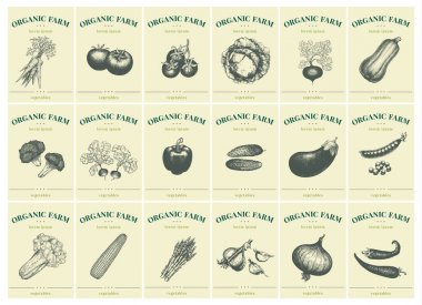 Çeşitli sebze içeren etiketleri. Mağazalar ve marketler organik vejetaryen gıda için şablonlar fiyat etiketleri ayarla. Vektör çizim sanat. Vintage. El drawnf doğa nesneleri.