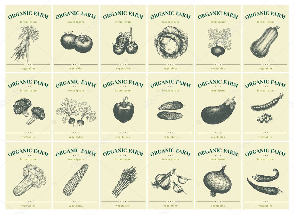 Labels with various vegetables. Set templates price tags for shops and markets of organic vegetarian food. Vector illustration art. Vintage. Hand drawnf nature objects.