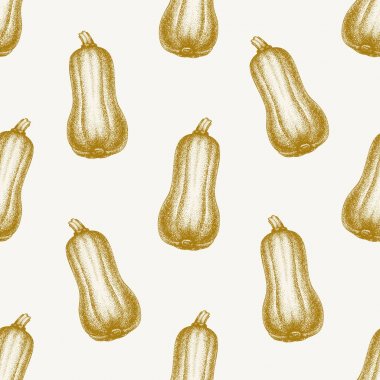 Kabak arka plan. Sebze ile el çizilmiş vektör seamless modeli. Vintage oyma squash. Paketleme tarım Pazar ürünleri, menü, etiket, simgeler, mutfak tasarım için kullanmak olabilir.