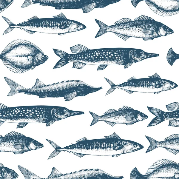 Modèle sans couture de vecteur de poisson pour les restaurants, emblème, image vectorielle. Illustration rétro — Image vectorielle