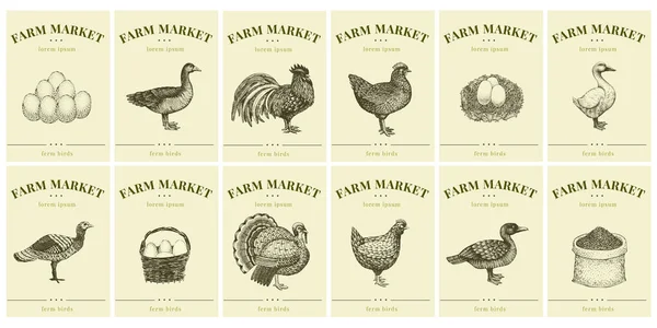 Etiquetas com aves de fazenda e ovos. Definir modelos de etiquetas de preços para lojas e mercados de alimentos orgânicos. Arte de ilustração retro vetorial. Objetos de natureza desenhados à mão . — Vetor de Stock