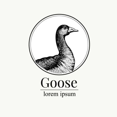 Vector hand drawn goose illustration. Retro engraving style. Sketch farm animal drawing. Duck logo template. clipart