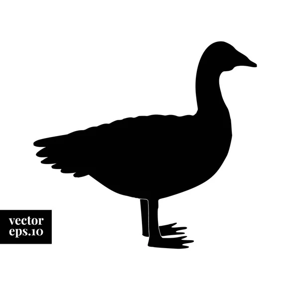 Silueta de ganso vectorial. Dibujo gráfico de animales de granja. ilustración de pato . — Vector de stock