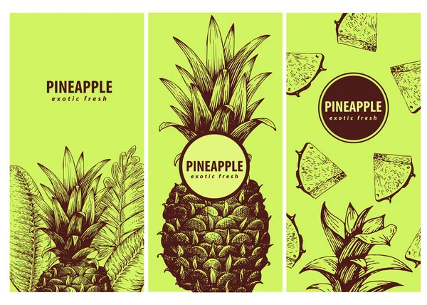 Ananas ile üç egzotik etiket kümesi. Büyük için organik gıda, ilaç, tasarım, yemek pişirmek ya da Bahçe parfüm. Retro el çekilmiş resimler. — Stok Vektör