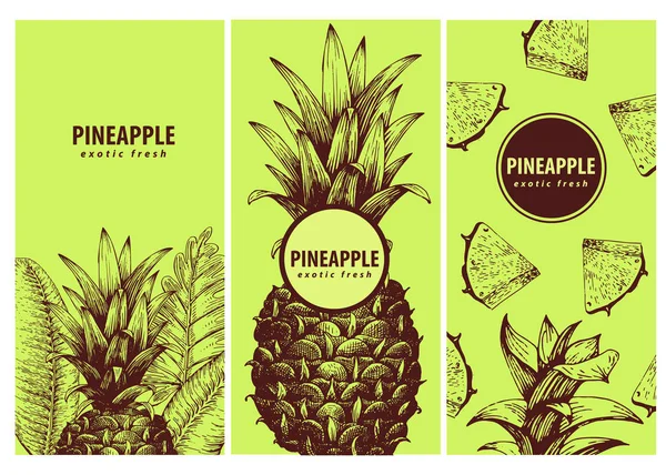 Conjunto de tres etiquetas exóticas con piña. Ideal para alimentos orgánicos, medicina, diseño de perfumes, cocina o jardinería. Ilustraciones retro dibujadas a mano . — Archivo Imágenes Vectoriales