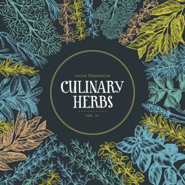 Elle çizilmiş mutfak otlar ve baharatlar. Tasarım menüsünden, paketleme, yemek tarifleri, etiket, tarım Pazar ürünleri için vektör arka plan. Elle çizilmiş vintage illüstrasyon. Botanik afiş şablon.