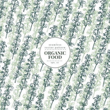 Thume. Vektör Dikişsiz desen tasarım menüsünden, ambalaj ve yemek tarifleri için. Elle çizilmiş vintage illüstrasyon. Botanik afiş şablon.