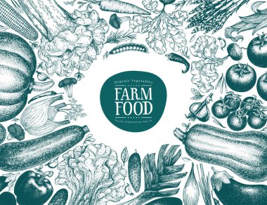 Vektör el çekilmiş sebze çerçeve. Vintage tarzı banner şablon. Vintage illüstrasyonlar. Retro organik tarım gıda arka plan. Menü, ambalaj, etiket, çiftlik piyasa kullanmak olabilir.
