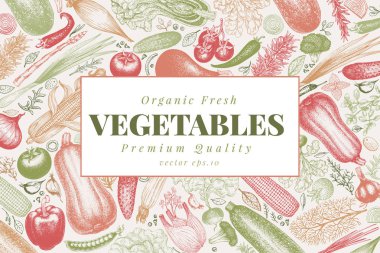 Sebze elle çizilmiş vektör çizim. Retro oyulmuş tarzı afiş. Menü, etiket, ambalaj, tarım Pazar ürünleri kullanmak olabilir.