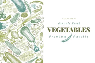 Sebze elle çizilmiş vektör çizim. Retro oyulmuş tarzı afiş. Menü, etiket, ambalaj, tarım Pazar ürünleri kullanmak olabilir.
