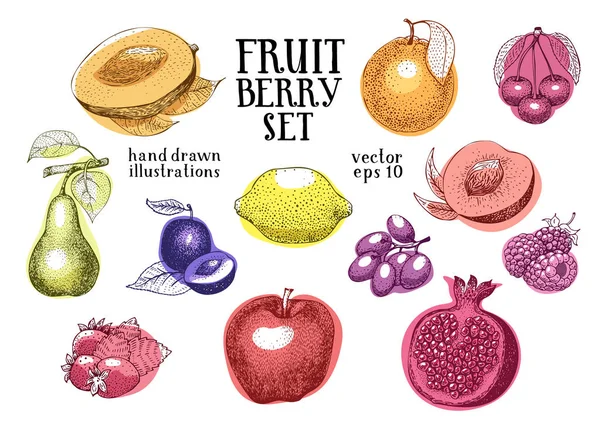 Fruits hand drawn vector illustration set. Retro engraved style illustrations. Can be use for menu, label, packaging, farm market products. — Stock Vector
