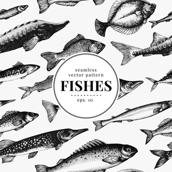 Ψάρια κάθε είδους χωρίς συγκόλληση διανυσματικά μοτίβο. Μπορεί να χρησιμοποιηθεί για συσκευασίας, έμβλημα, εστιατόρια, διανυσματική εικόνα. Vintage εικονογράφηση. Πρότυπο banner. — Διανυσματικό Αρχείο