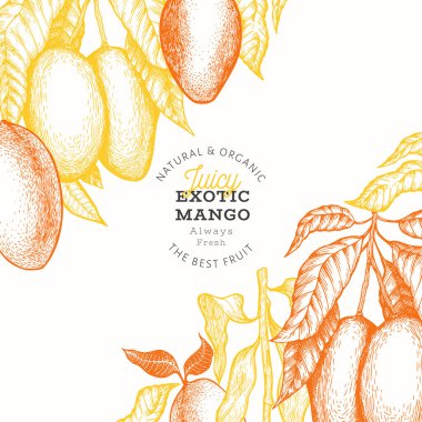 Mango tasarım şablonu. Çizilmiş vektör tropik meyve illustrati el
