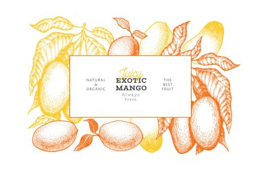 Mango tasarım şablonu. Çizilmiş vektör tropik meyve illustrati el