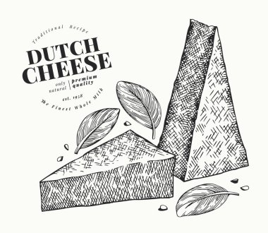 Hollanda peyniri çizimi. El çizimi vektör gösterimi.