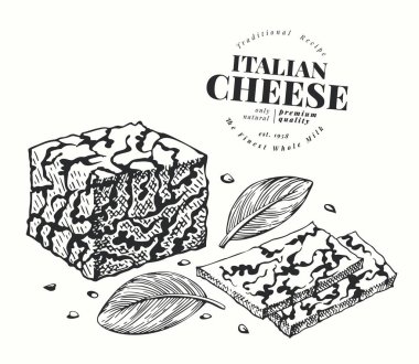 Dorblu peyniri çizimi. El çizimi vektör gösterimi