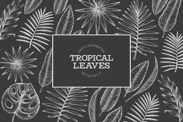 Progettazione telaio piante tropicali. Estate tropicale disegnata a mano esotica — Vettoriale Stock