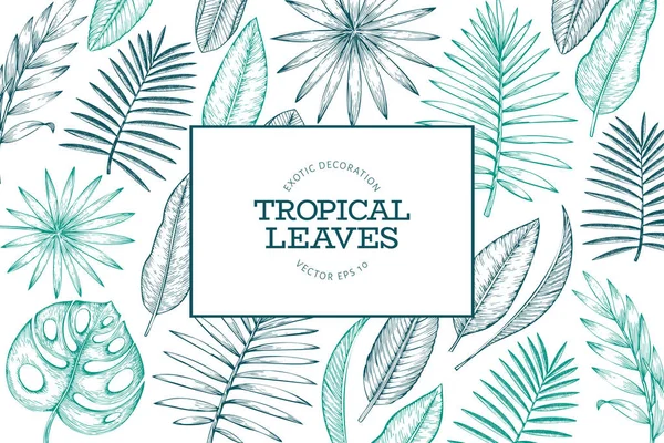 Trópusi növények keretezése. Kézzel rajzolt trópusi nyár egzotikus — Stock Vector