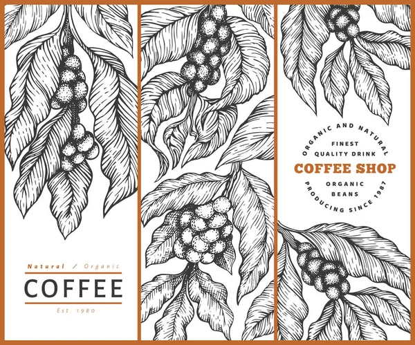 Ensemble de modèle de conception vectorielle de café. Vintage fond de café . — Image vectorielle