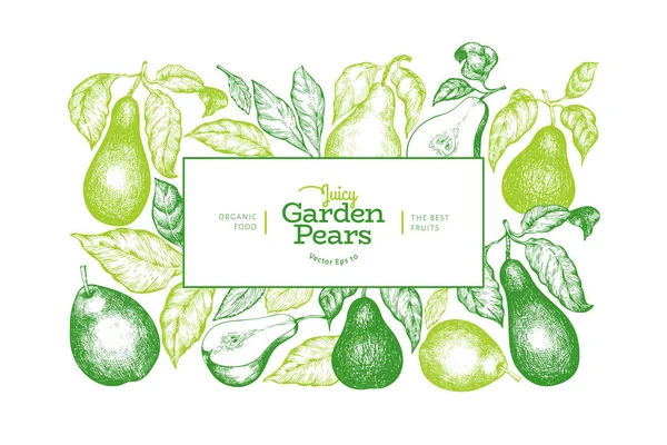Plantilla de diseño de pera. Dibujado a mano vector jardín fruta illustratio — Vector de stock