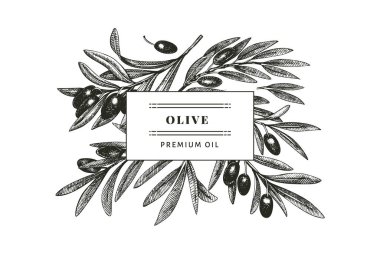 Zeytin dalı tasarımı şablonu. El çizimi vektör besin çizimi