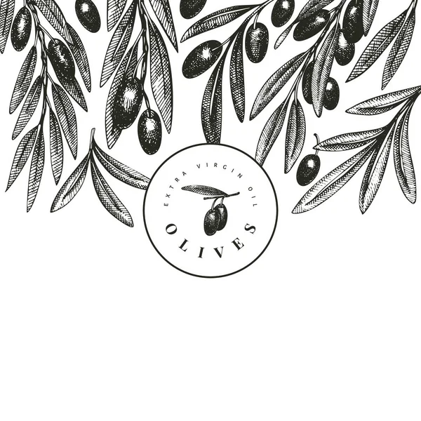Olive branch design template. Hand drawn vector food illustratio — Stock Vector