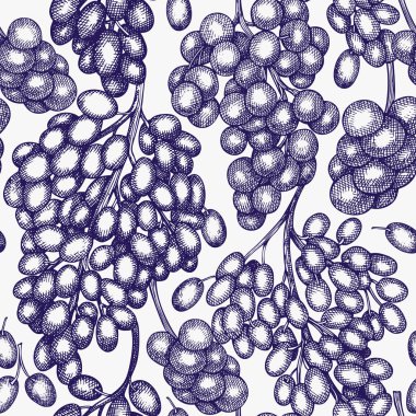 Üzümsüz desen. El çizimi üzümlü üzüm çizimi çizimi