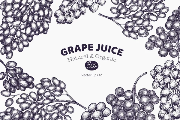 Druiven ontwerp sjabloon. Handgetekende vector druivenbes illustratie — Stockvector