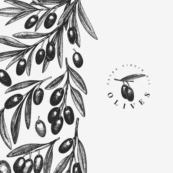 Plantilla de diseño rama de olivo. Dibujado a mano vector alimentos ilustratio — Vector de stock