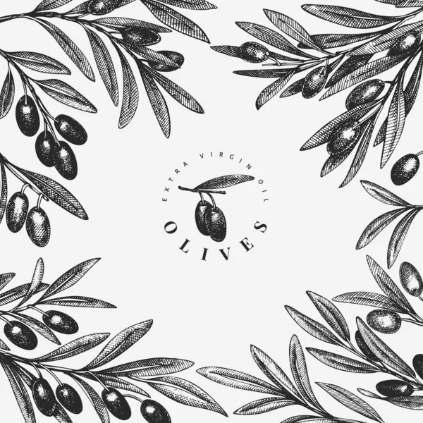 Шаблон дизайну оливкової гілки. Рука намальована векторна їжа ілюстрація — стоковий вектор