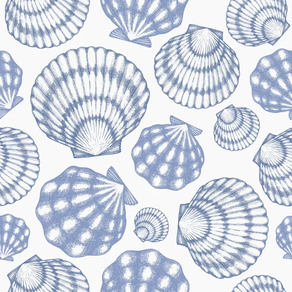 Scallop seamless pattern. Hand drawn vector seafood illustration Royalty Free Stock Illustrations