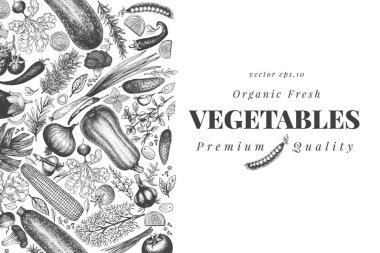 Sebzeler elle çizilmiş vektör çizimi. Retro oyma biçimi 